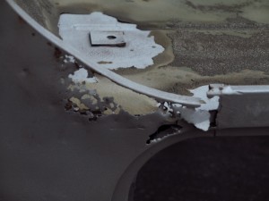 IMG_3037 (800x600)